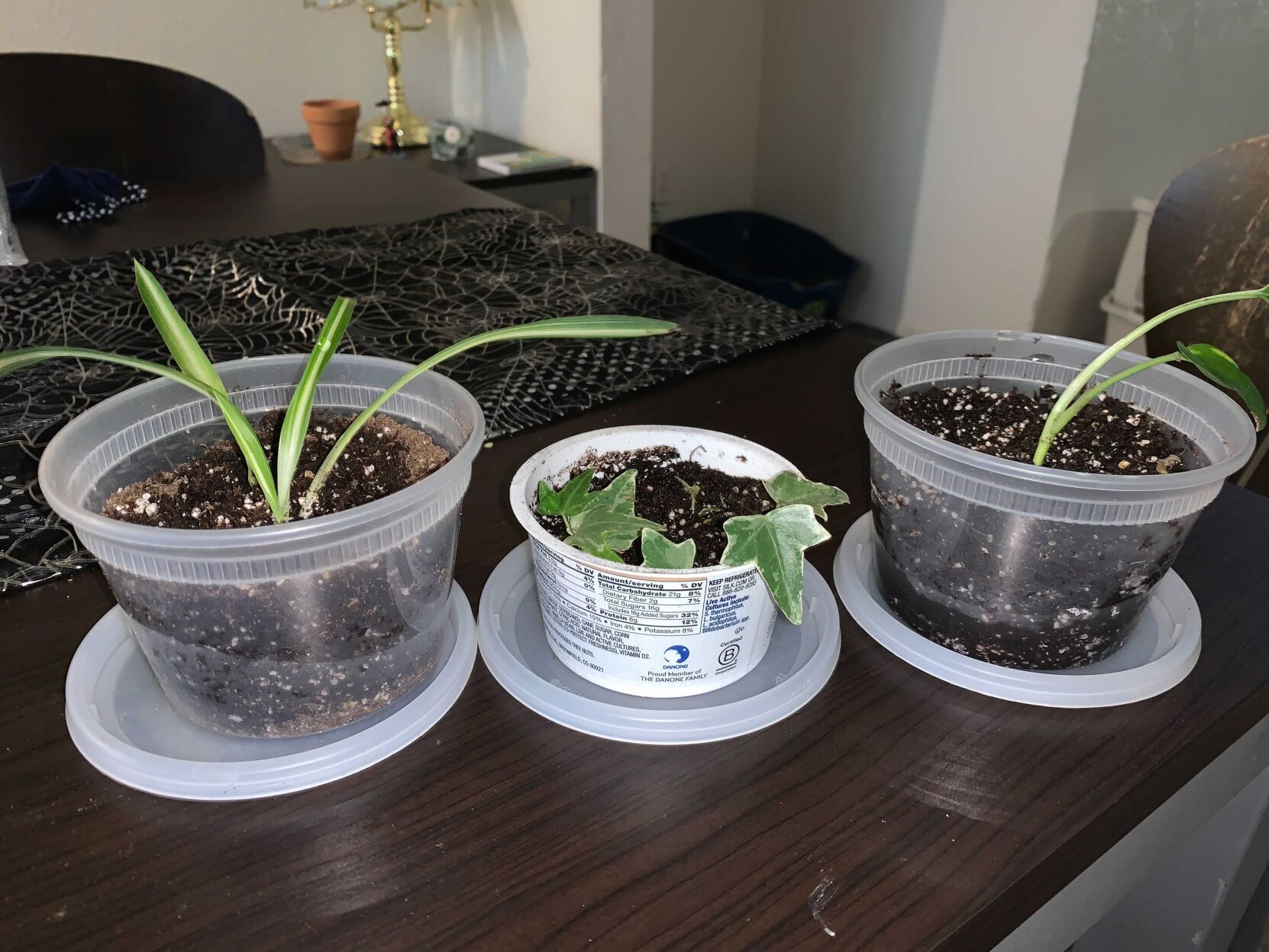 Plant Containers
